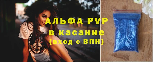 тгк Нея