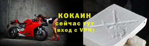 гидра Дубовка