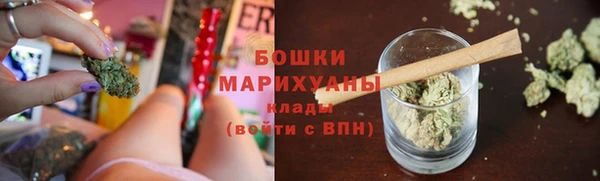 тгк Нея
