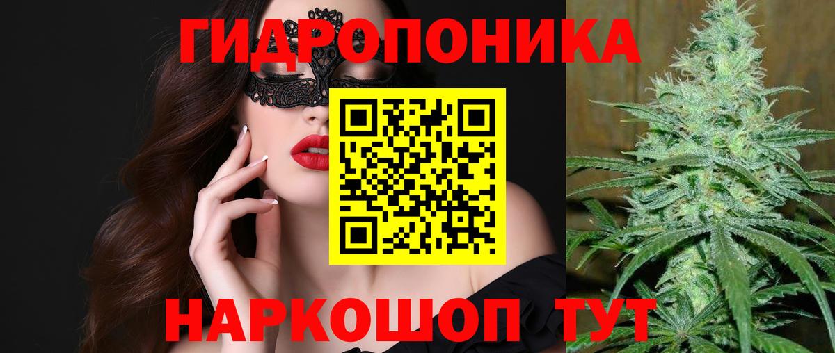 Шишки марихуана OG Kush  Бошки Шишки LSD WEED  Вход с VPN  Канабис Ganja  Кизляр 